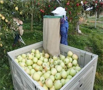 �[������