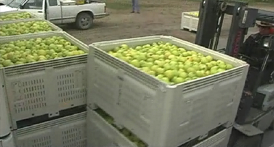 �_�C�e�b�N�R���e�i�[MACRO �[�����Ⴠ�[�r�[