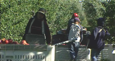 �_�C�e�b�N�R���e�i�[MACRO �[�����Ⴠ�[�r�[